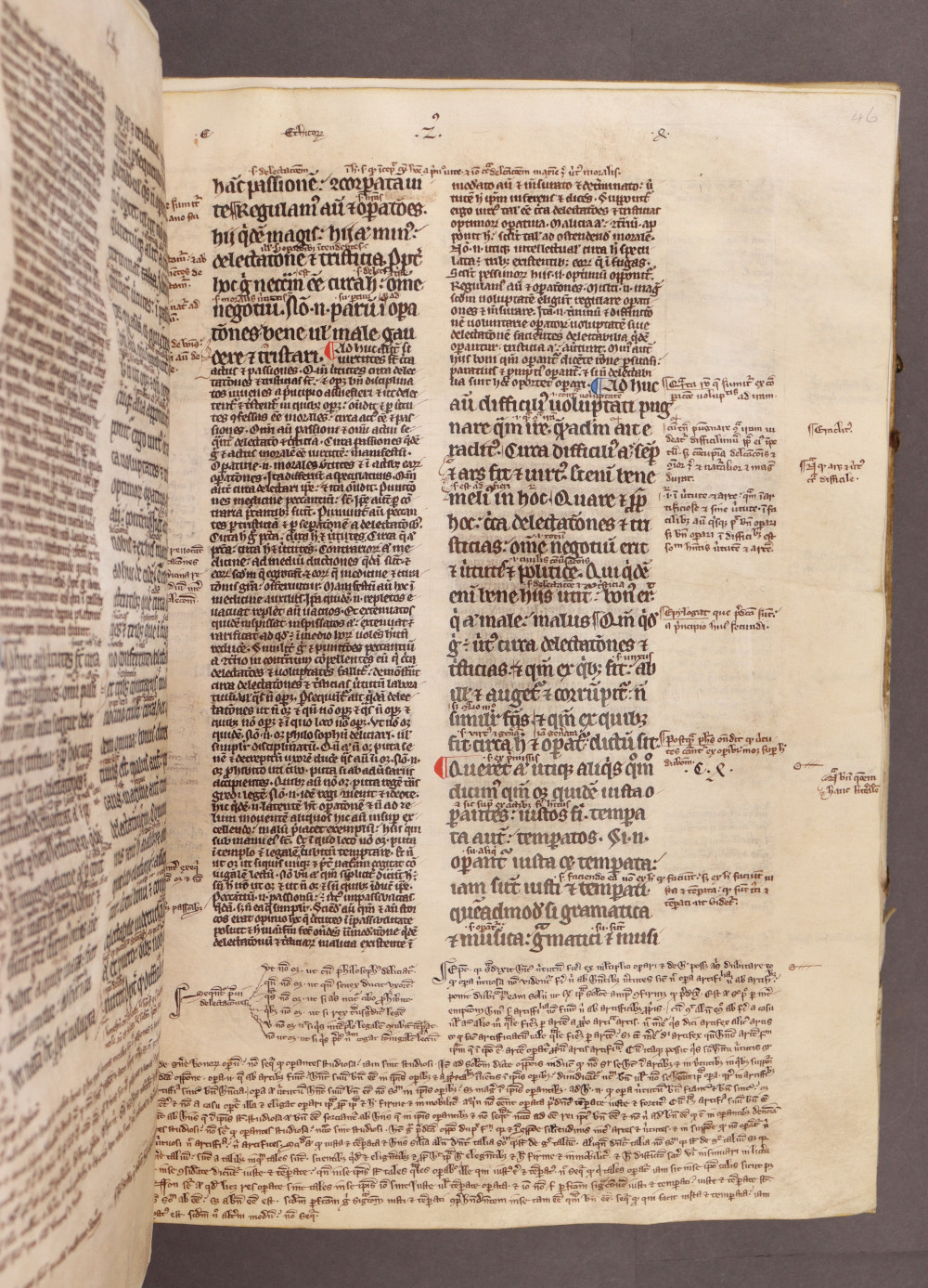 Folio 46 recto